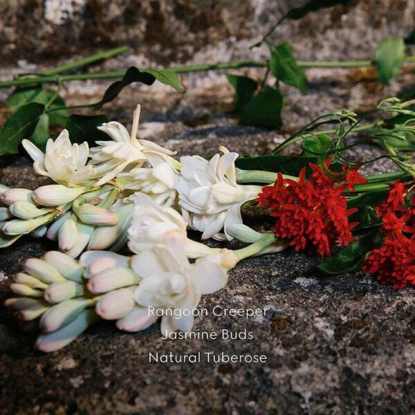 Gucci Bloom - Image 6